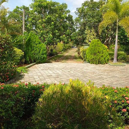 Sunshine Holiday Resort -Sella Kataragama Extérieur photo